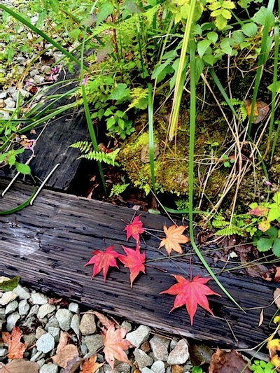 秋の北軽井沢別荘