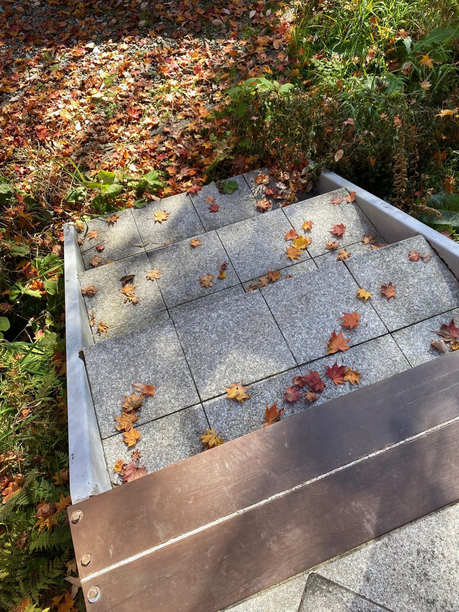 秋の北軽井沢別荘